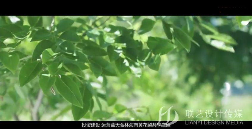 东莞视频制作公司